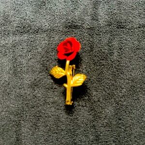 Antique brooches